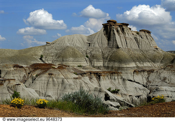 Badlands  erodierte Steinformation aus Sedimentgestein  Dinosaurier-Provinzpark  UNESCO Weltnaturerbe  Alberta  Kanada  Nordamerika