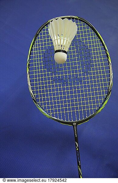 Badminton racket with shuttlecock  sport  badminton  sports equipment  racket  blue  white  studio shot