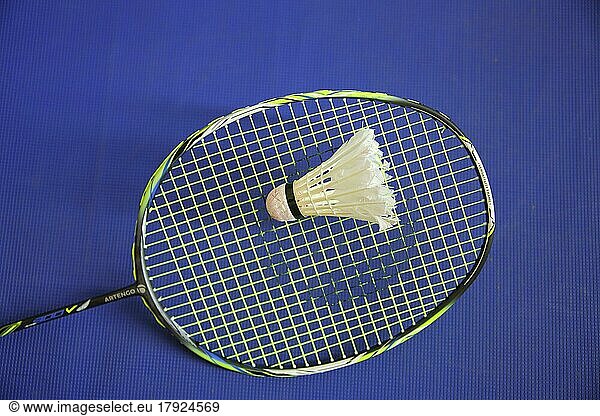 Badminton racket with shuttlecock  sport  badminton  sports equipment  racket  blue  white  studio shot