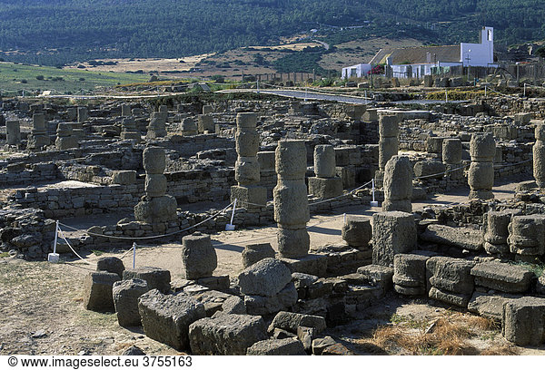 Baelo Claudia  Ruinen römischer Stadt  Costa de la Luz  Provinz Cadiz  Andalusien  Spanien