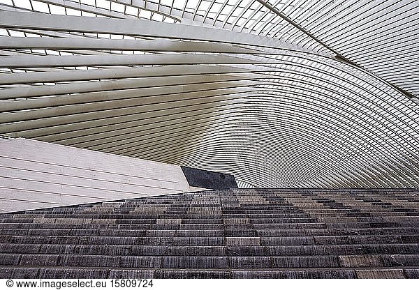 Bahnhof Lüttich  Gare de Liège-Guillemins  entworfen von dem spanischen Architekten Santiago Calatrava  Lüttich  Wallonische Region  Belgien  Europa