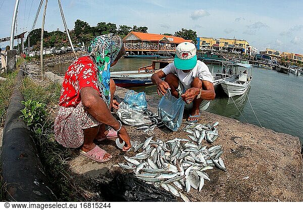 Bajau Menschen auf dem Fischmarkt  Semporna  Sabah  Malaysia  Asien
