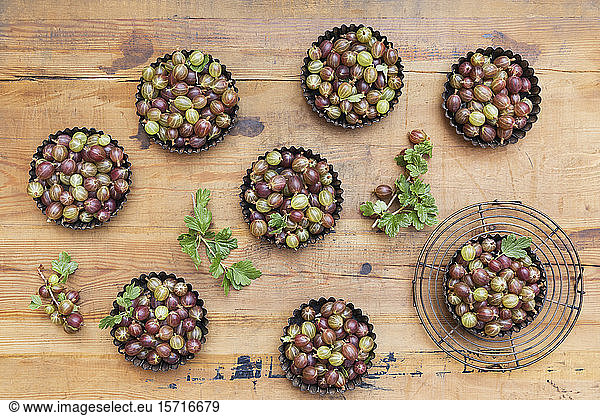 Baking pans with freshly harvested gooseberries on wooden table