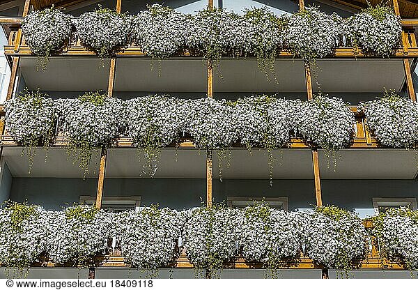 Balconies decorated with flowers in the centre of Ortisei  Val Gardena  Dolomites  South Tyrol  Italy  Europe