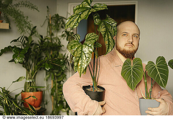 Bald man holding houseplants in hands at home
