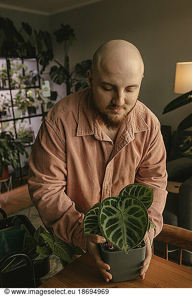 Bald man holding potted plant on table at home