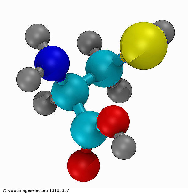 ball and stick model of the amino acid ball and stick model of the ...