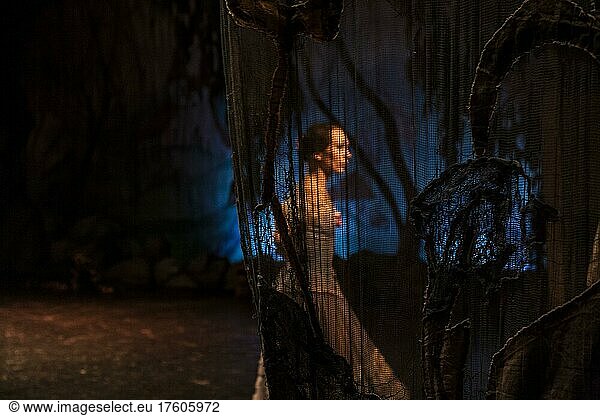 Balletttänzerin durch einen Vorhang während der Aufführung von Tschaikowskys Schwanensee in St. Petersburg  Russland  Osteuropa  Europa