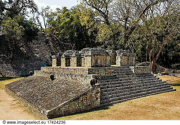 Ballspielplatz  zweitgrößter der Mayakultur  Mayastätte  Copan  Honduras  Mittelamerika
