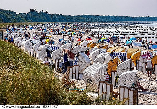 Baltic Sea beach in Prerow am Darß  Mecklenburg-Western Pomerania  Germany  Europe