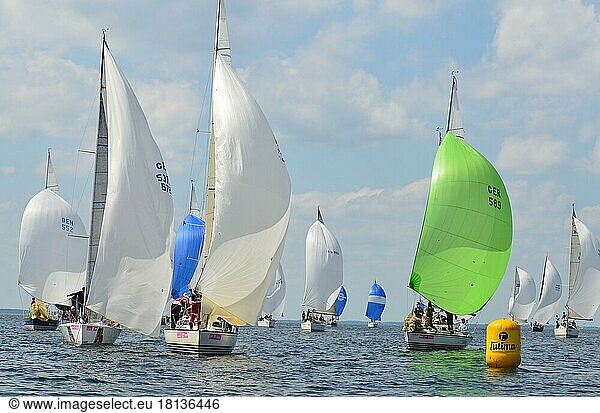 Baltic Sea  sailboats  regatta  Kiel Fjord  Kiel  Schleswig-Holstein  Germany  Europe