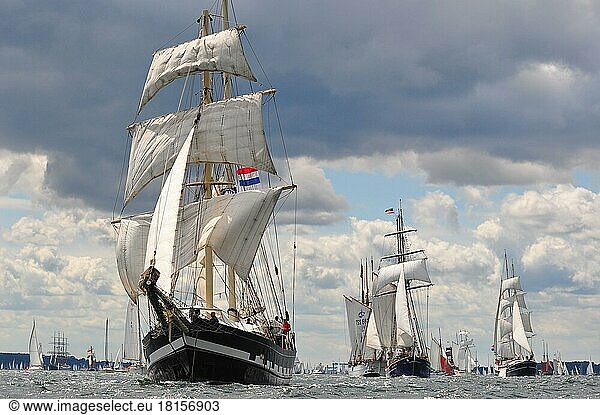 Baltic Sea  Windjammer Parade  Kiel Fjord  Kiel Week  Kiel  Schleswig-Holstein  Germany  Europe