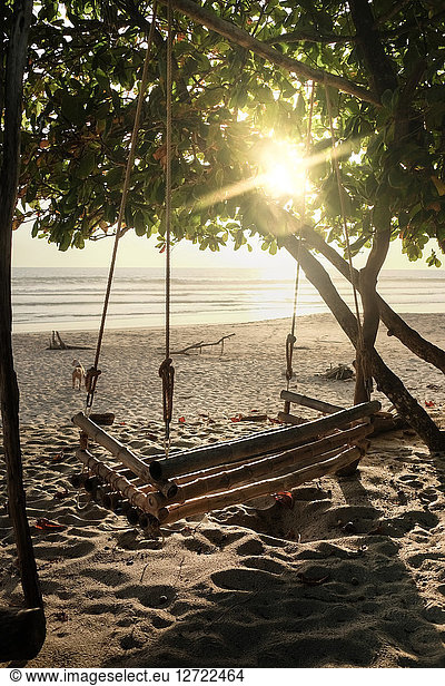 Bamboo swing hanging from tree at beach on sunny day