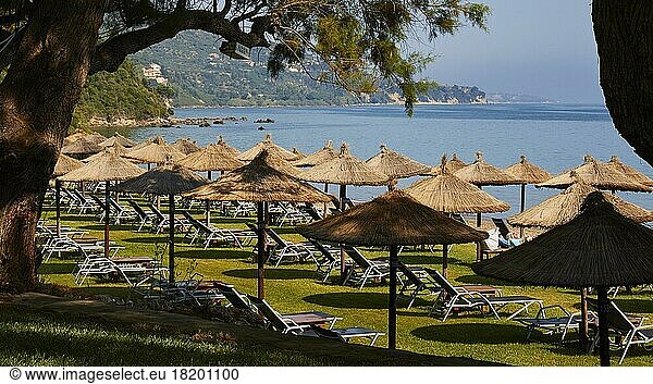 Banana Beach  green lawn  parasols  sun loungers  trees on the beach  no people  tree  water blue  sky blue