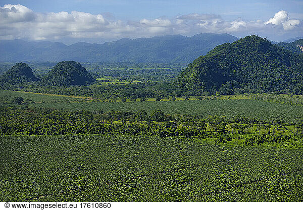 Banana plantations and outcrops of limestone around Cueva de Villa Luz in Tabasco  Mexico.; Tabasco State  Mexico.