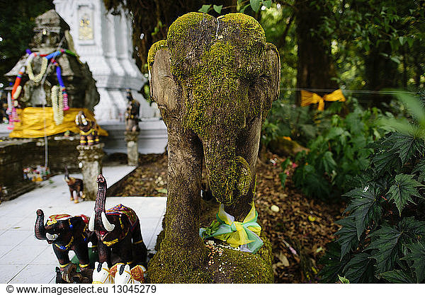 Band an moosbedeckter Elefantenskulptur am Tempel gebunden