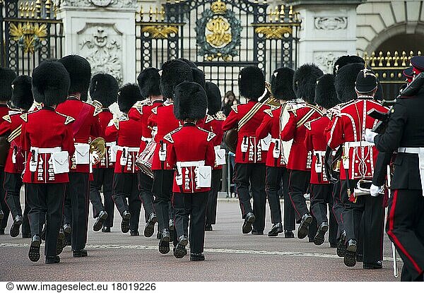 Band of Welsh Guardsmen in ceremonial uniforms  Changing of the Guard outside the Palace  Buckingham Palace  City of Westminster  London  England  United Kingdom  Europe