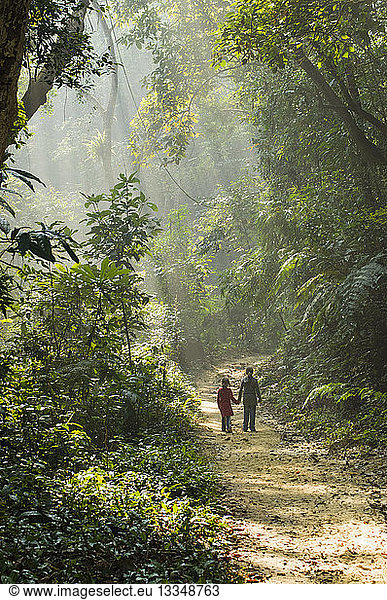 Bangladesh  Lowacherra Forest Reserve  Srimongal  Two sisters walking hand in hand along a path through dappled forest sunlight.
