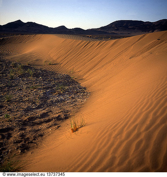 Barchan-Sanddüne in der Morgendämmerung  Wüste Sahara  Zagora  Marokko