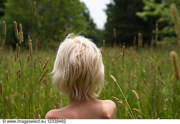 Bare shouldered blond haired boy in looking out at forest from long grass, rear view