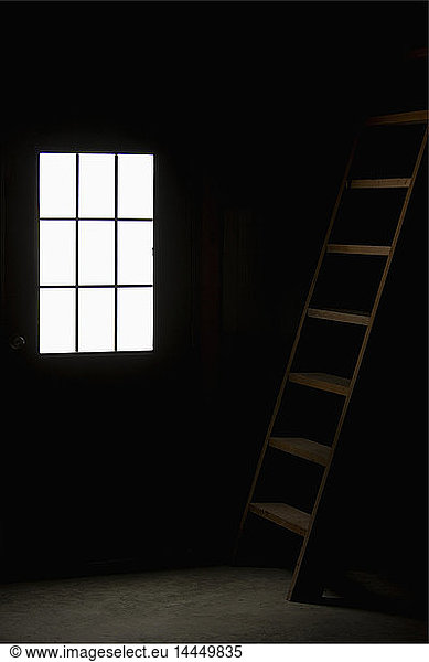 Barn Doorway and Loft Ladder