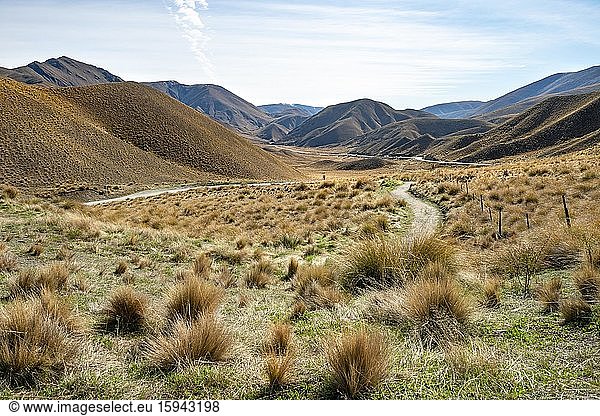 Barren mountain landscape with tufts of grass  Lindis Pass  Southern Alps  Otago  South Island  New Zealand  Oceania