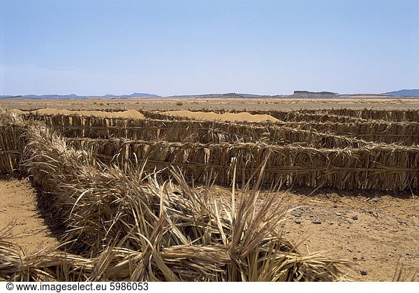 Barrieren errichtet  um zu verhindern  dass Sand driften auf Road  in der Nähe von Tinejdad  Marokko  Nordafrika  Afrika