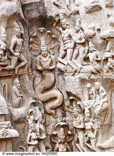 Bas relief figures known as ‘Arjuna’s Penance’  depicting the epic-hero in a state of self-inflicted punishment to please the god Shiva  7th century  at the World Heritage Site of Marmalapuram  south of Chennai (Madras)  India.