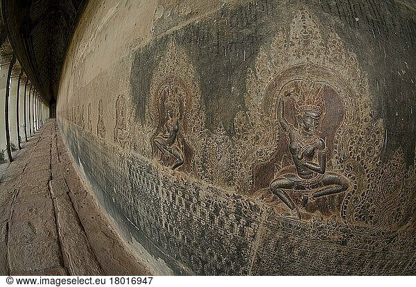 Bas-relief of the Apsaras (dancing girls) in the corridor of the Khmer temple  Angkor Wat  Siem Riep  Cambodia  Asia