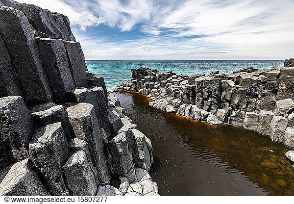 Basaltklippen an der Küste,  Basaltsäulen,  Blackhead,  Dunedin,  Otago,  Südinsel,  Neuseeland,  Ozeanien