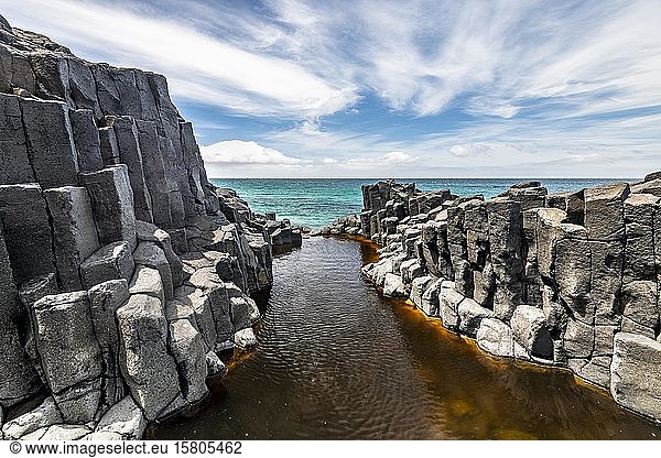 Basaltklippen an der Küste  Basaltsäulen  Blackhead  Dunedin  Otago  Südinsel  Neuseeland  Ozeanien