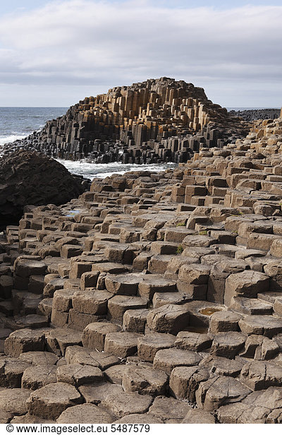 Basaltsäulen  Giant's Causeway  Causeway Coast  County Antrim  Nordirland  Irland  Großbritannien  Europa