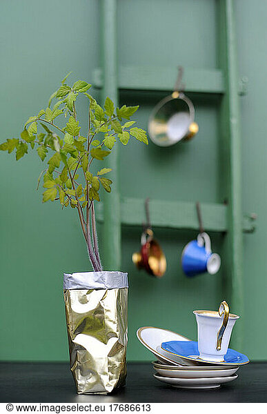 Basil plant in silver sack by cup and plate on table