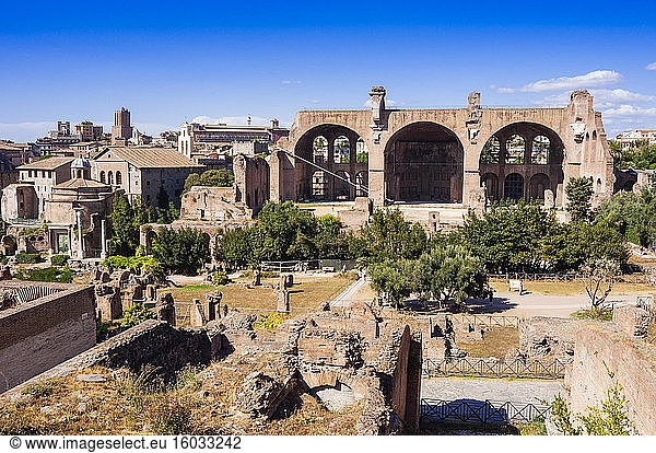 Basilika von Maxentius oder Konstantin vom Palatin-Hügel aus gesehen  UNESCO-Weltkulturerbe  Rom  Latium  Italien  Europa