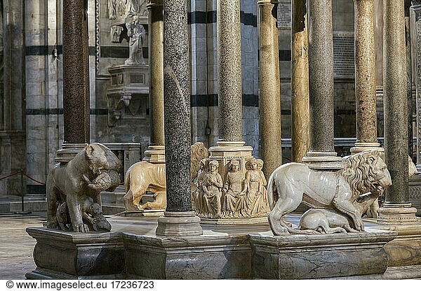Basis mit Löwen und Darstellung der sieben freien Künste  Marmorkanzel  1266-68  Bildhauer Nicola Pisano  Dom von Siena  Duomo Santa Maria Assunta  Siena  Toskana  Italien  Europa