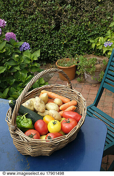Basket filled with homegrown vegetables