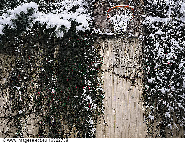 Basketball hoop in winter