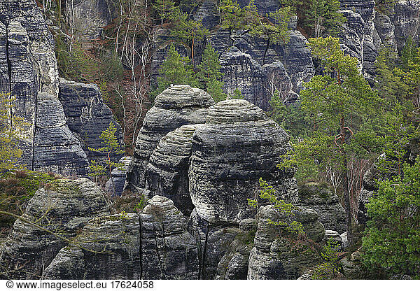 Bastei rock formation in Elbe Sandstone Mountains