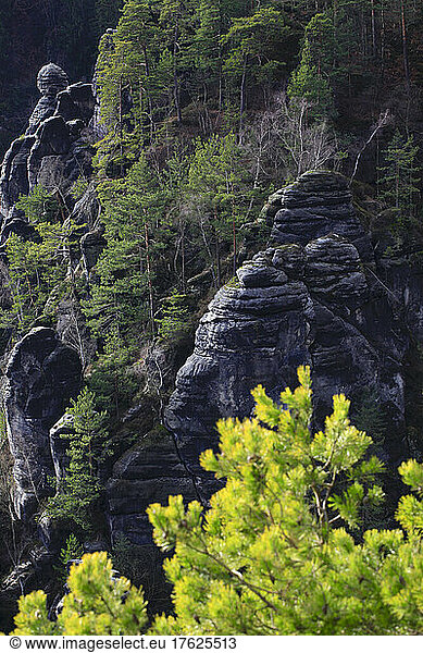Bastei rock formation in Elbe Sandstone Mountains