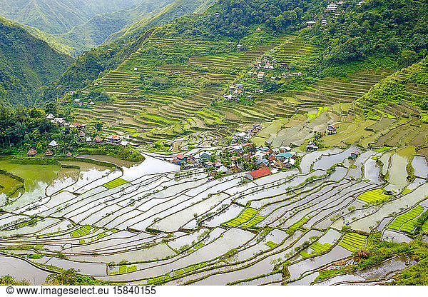 Batad village UNESCO World Heritage rice terraces  Banaue  Philippines