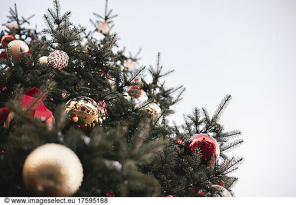 Baubles and decoration hanging on Christmas tree