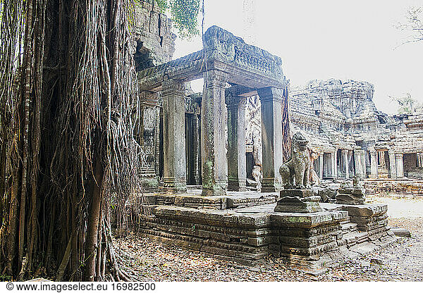 Baudetail in den antiken Ruinen von Angkor Wat