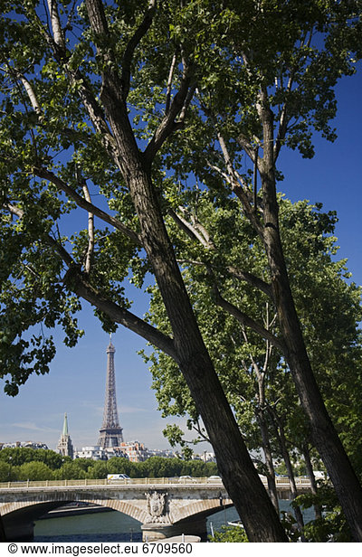 Baum  Ansicht  Eiffelturm
