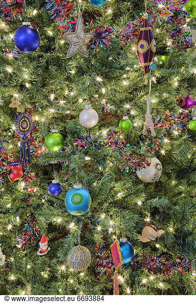 Baum  Close-up  close-ups  close up  close ups  Weihnachten