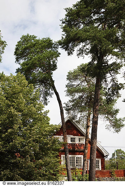 Baum Fokus auf den Vordergrund Fokus auf dem Vordergrund Blockhaus Holzhaus