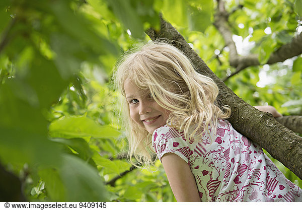 Baum Garten jung Mädchen blond klettern