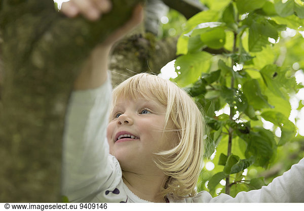 Baum klein Kirsche Garten Mädchen blond klettern
