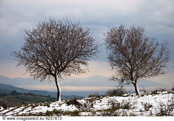 Baum Landschaft Schnee 2 nackt Mandel Griechenland Halbinsel