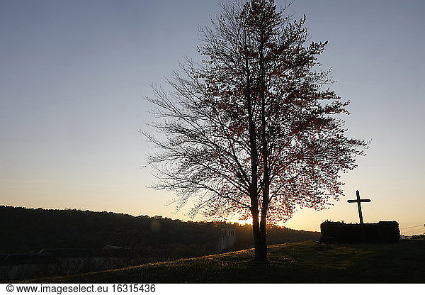 Baum und Kreuz in der Abenddämmerung in Le Bec Hellouin  Eure  Normandie  Frankreich  Europa