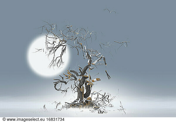 Baum und Äste explodieren gegen den Mond
